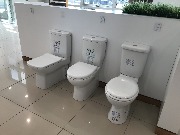 IMG_6571.jpg
